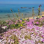 Apartamento Casa 1 Spighia Vista Campagna Vicino Al Mare Castelsardo