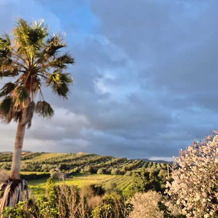公寓 Casa 1 Spighia Vista Campagna Vicino Al Mare 卡斯特尔萨多