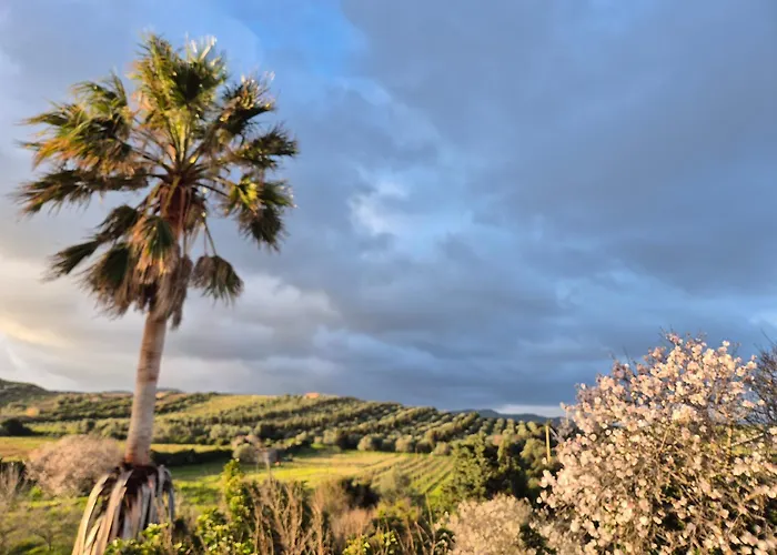公寓 Casa 1 Spighia Vista Campagna Vicino Al Mare 卡斯特尔萨多